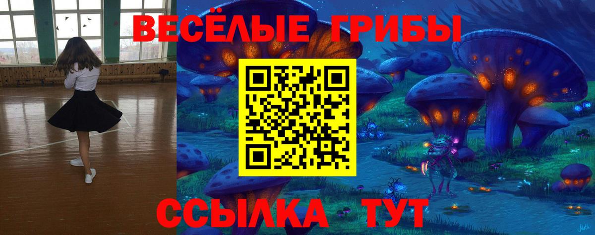 Самара  как найти   Вход с VPN  Псилоцибиновые грибы ЛСД 